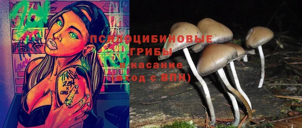 амф Абдулино