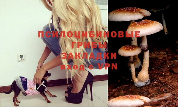 винт Абаза