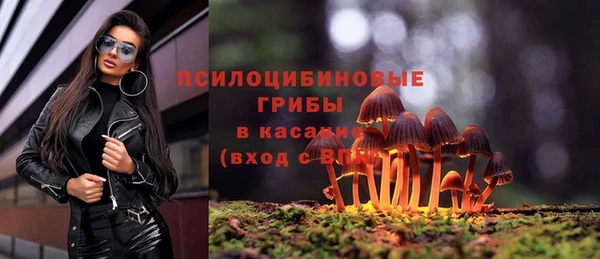 дурь Алексеевка