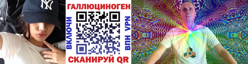 Псилоцибиновые грибы Psilocybe Канск